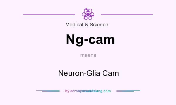 What does Ng-cam mean? It stands for Neuron-Glia Cam
