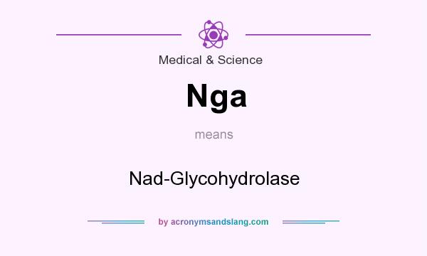 What does Nga mean? It stands for Nad-Glycohydrolase