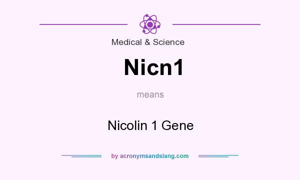 What does Nicn1 mean? It stands for Nicolin 1 Gene