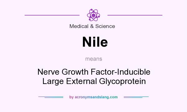 What does Nile mean? It stands for Nerve Growth Factor-Inducible Large External Glycoprotein