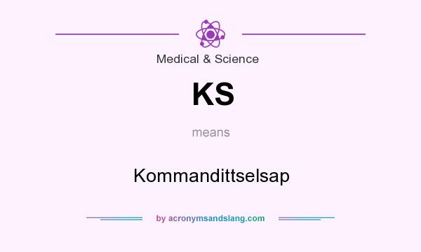 What does KS mean? It stands for Kommandittselsap