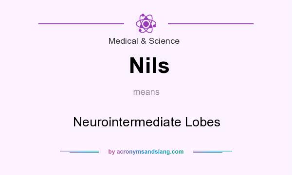 What does Nils mean? It stands for Neurointermediate Lobes