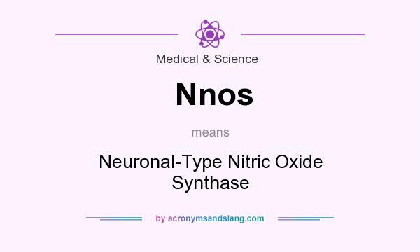 What does Nnos mean? It stands for Neuronal-Type Nitric Oxide Synthase
