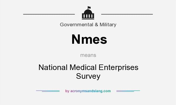 What does Nmes mean? It stands for National Medical Enterprises Survey