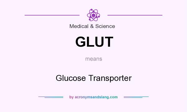 What does GLUT mean? It stands for Glucose Transporter