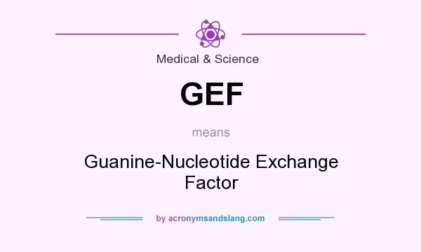 What does GEF mean? It stands for Guanine-Nucleotide Exchange Factor