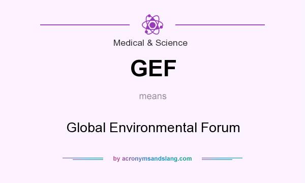 What does GEF mean? It stands for Global Environmental Forum