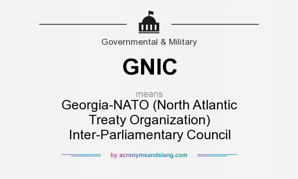 What does GNIC mean? It stands for Georgia-NATO (North Atlantic Treaty Organization) Inter-Parliamentary Council