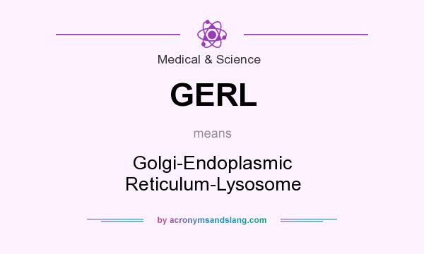 What does GERL mean? It stands for Golgi-Endoplasmic Reticulum-Lysosome