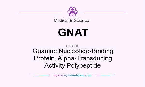 What does GNAT mean? It stands for Guanine Nucleotide-Binding Protein, Alpha-Transducing Activity Polypeptide