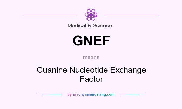What does GNEF mean? It stands for Guanine Nucleotide Exchange Factor
