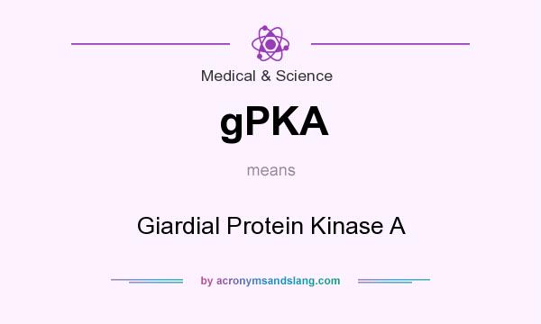 What does gPKA mean? It stands for Giardial Protein Kinase A