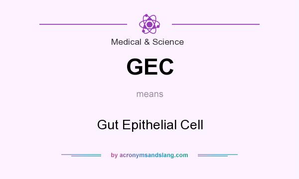 What does GEC mean? It stands for Gut Epithelial Cell