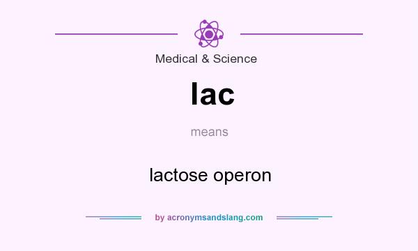 What does lac mean? It stands for lactose operon