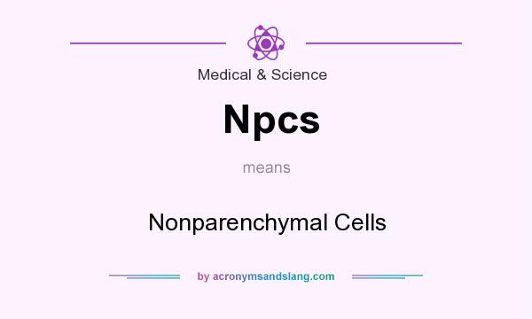 What does Npcs mean? It stands for Nonparenchymal Cells