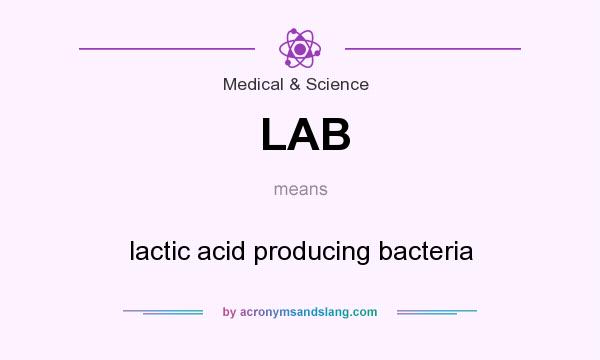 What does LAB mean? It stands for lactic acid producing bacteria