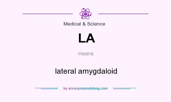 What does LA mean? It stands for lateral amygdaloid