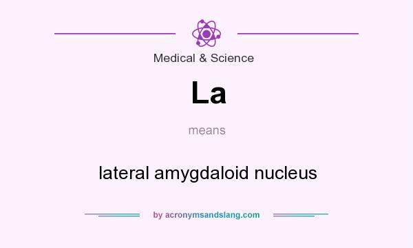 What does La mean? It stands for lateral amygdaloid nucleus