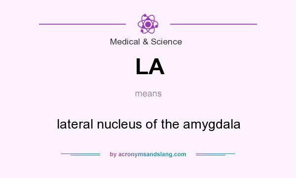 What does LA mean? It stands for lateral nucleus of the amygdala