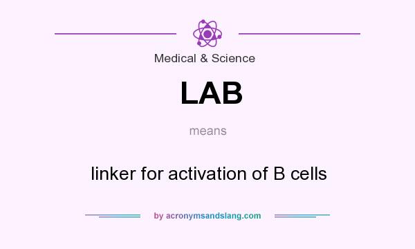 What does LAB mean? It stands for linker for activation of B cells