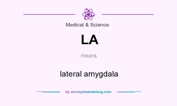 What does LA mean? It stands for lateral amygdala