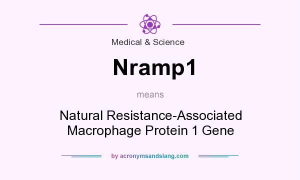 What does Nramp1 mean? It stands for Natural Resistance-Associated Macrophage Protein 1 Gene