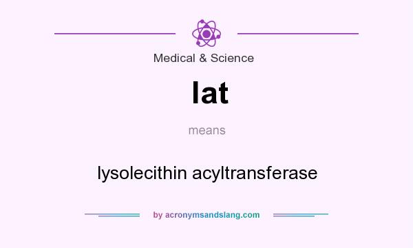 What does lat mean? It stands for lysolecithin acyltransferase