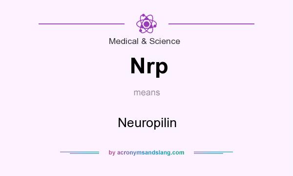 What does Nrp mean? It stands for Neuropilin
