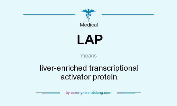 What does LAP mean? It stands for liver-enriched transcriptional activator protein