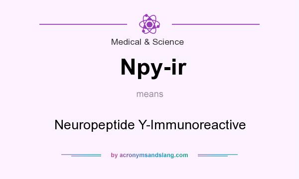 What does Npy-ir mean? It stands for Neuropeptide Y-Immunoreactive