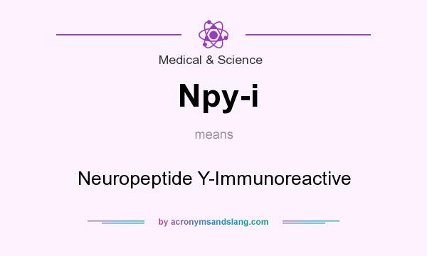 What does Npy-i mean? It stands for Neuropeptide Y-Immunoreactive