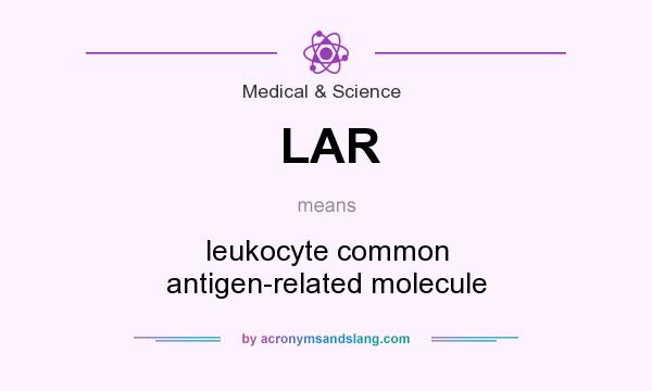 What does LAR mean? It stands for leukocyte common antigen-related molecule