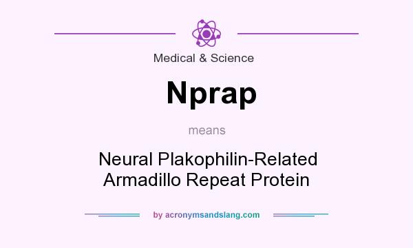 What does Nprap mean? It stands for Neural Plakophilin-Related Armadillo Repeat Protein