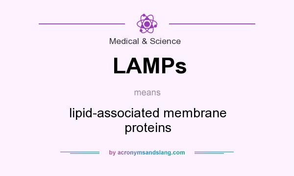 What does LAMPs mean? It stands for lipid-associated membrane proteins