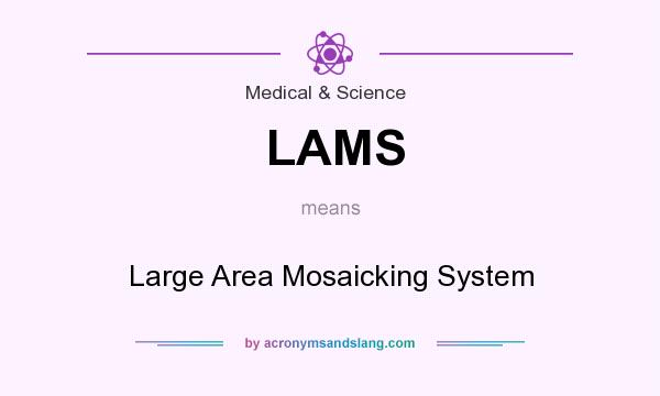 What does LAMS mean? It stands for Large Area Mosaicking System