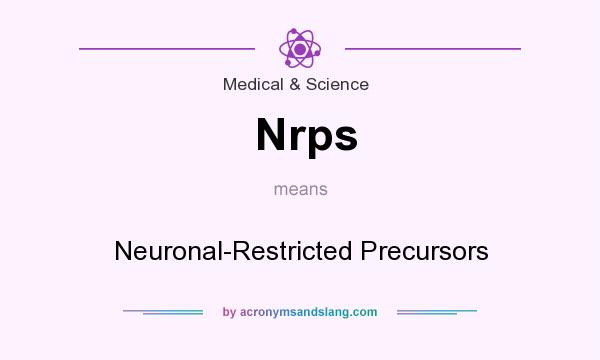 What does Nrps mean? It stands for Neuronal-Restricted Precursors