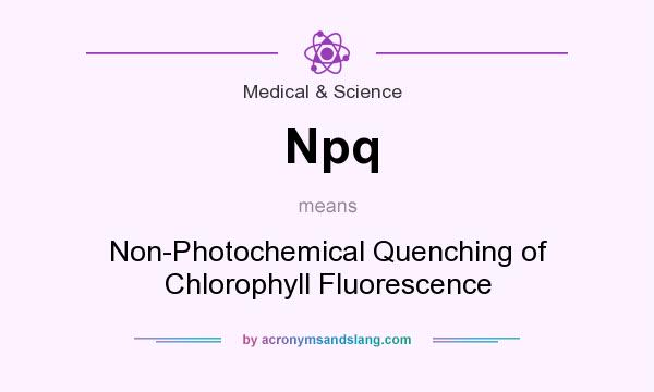 What does Npq mean? It stands for Non-Photochemical Quenching of Chlorophyll Fluorescence