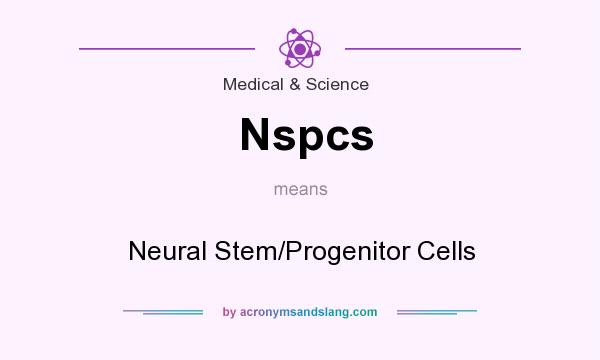What does Nspcs mean? It stands for Neural Stem/Progenitor Cells