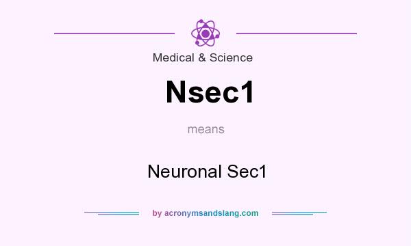 What does Nsec1 mean? It stands for Neuronal Sec1