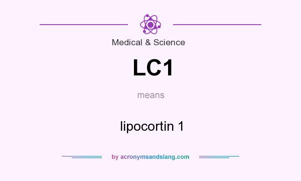 What does LC1 mean? It stands for lipocortin 1