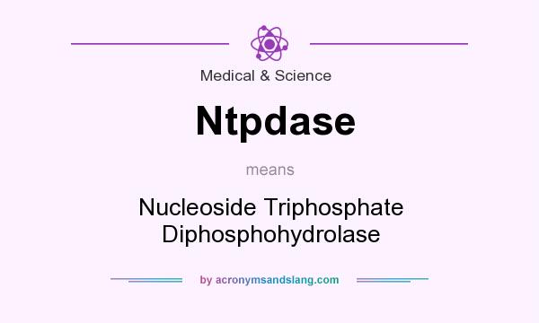 What does Ntpdase mean? It stands for Nucleoside Triphosphate Diphosphohydrolase