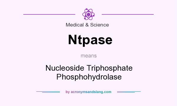 What does Ntpase mean? It stands for Nucleoside Triphosphate Phosphohydrolase