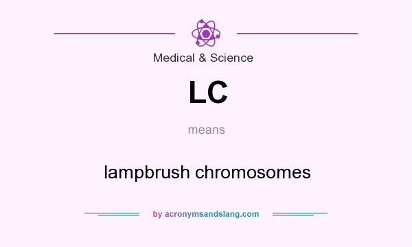 What does LC mean? It stands for lampbrush chromosomes