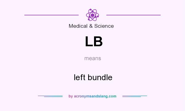 What does LB mean? It stands for left bundle