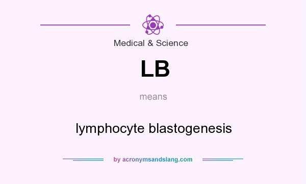 What does LB mean? It stands for lymphocyte blastogenesis