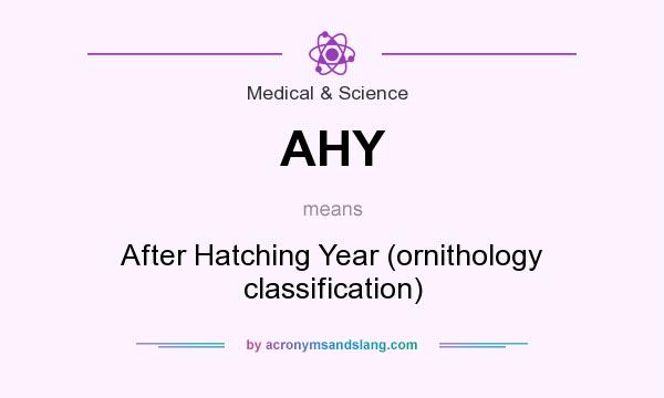 What does AHY mean? It stands for After Hatching Year (ornithology classification)
