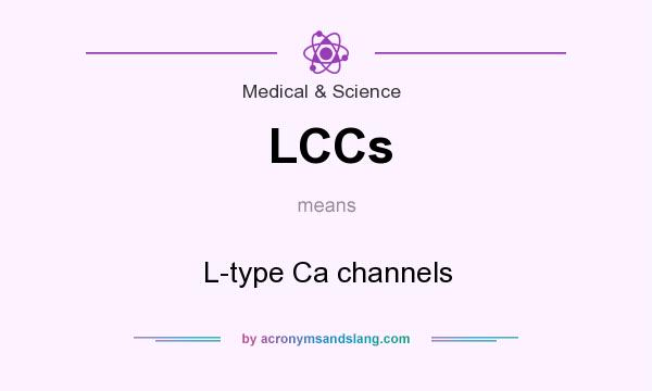 What does LCCs mean? It stands for L-type Ca channels