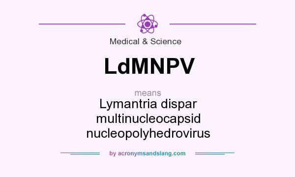 What does LdMNPV mean? It stands for Lymantria dispar multinucleocapsid nucleopolyhedrovirus