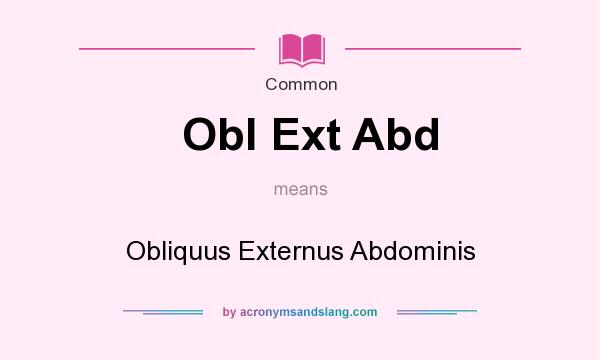 What does Obl Ext Abd mean? It stands for Obliquus Externus Abdominis