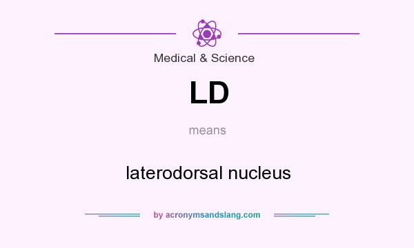 What does LD mean? It stands for laterodorsal nucleus